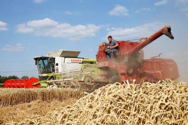 cereali-europa-senza-grano