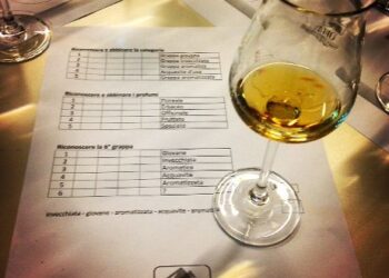 grappa-in-passerella-al-premio-alambicco-doro