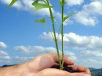 La green economy conquista le piccole aziende
