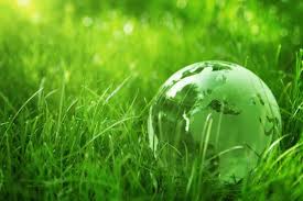 green-economy-il-verde-e-controtendenza-alla-crisi