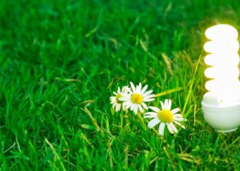 green-economy-italia-prima-in-europa