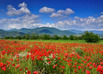 primavera-franciacorta-da-scoprire