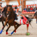 fieracavalli-torna-lhorseball