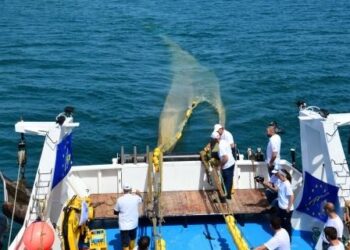 lidentikit-del-pescatore-di-tartarughe-secondo-tartalife