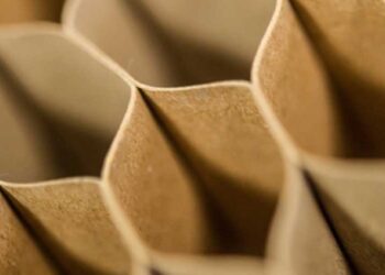 alimenti-trionfa-il-cartone-nel-packaging