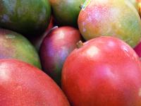 impatto-ambientale-occorre-preferire-frutta-e-verdura