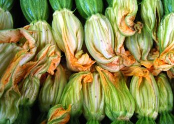 italia-export-ortofrutta-a-gonfie-vele