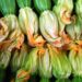 italia-export-ortofrutta-a-gonfie-vele
