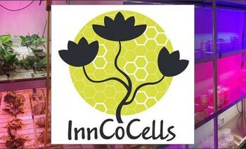 cosmetici-sicuri-e-sostenibili-da-piante-scarti-agricoli-e-cellule-vegetali