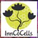 cosmetici-sicuri-e-sostenibili-da-piante-scarti-agricoli-e-cellule-vegetali