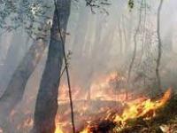 estate-tempo-di-incendi