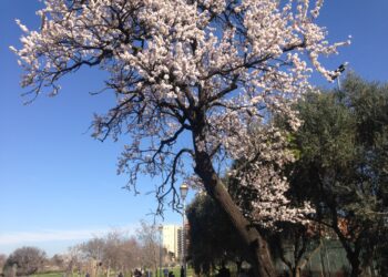 ambiente-incentivi-anche-dalla-compagnia-di-san-paolo