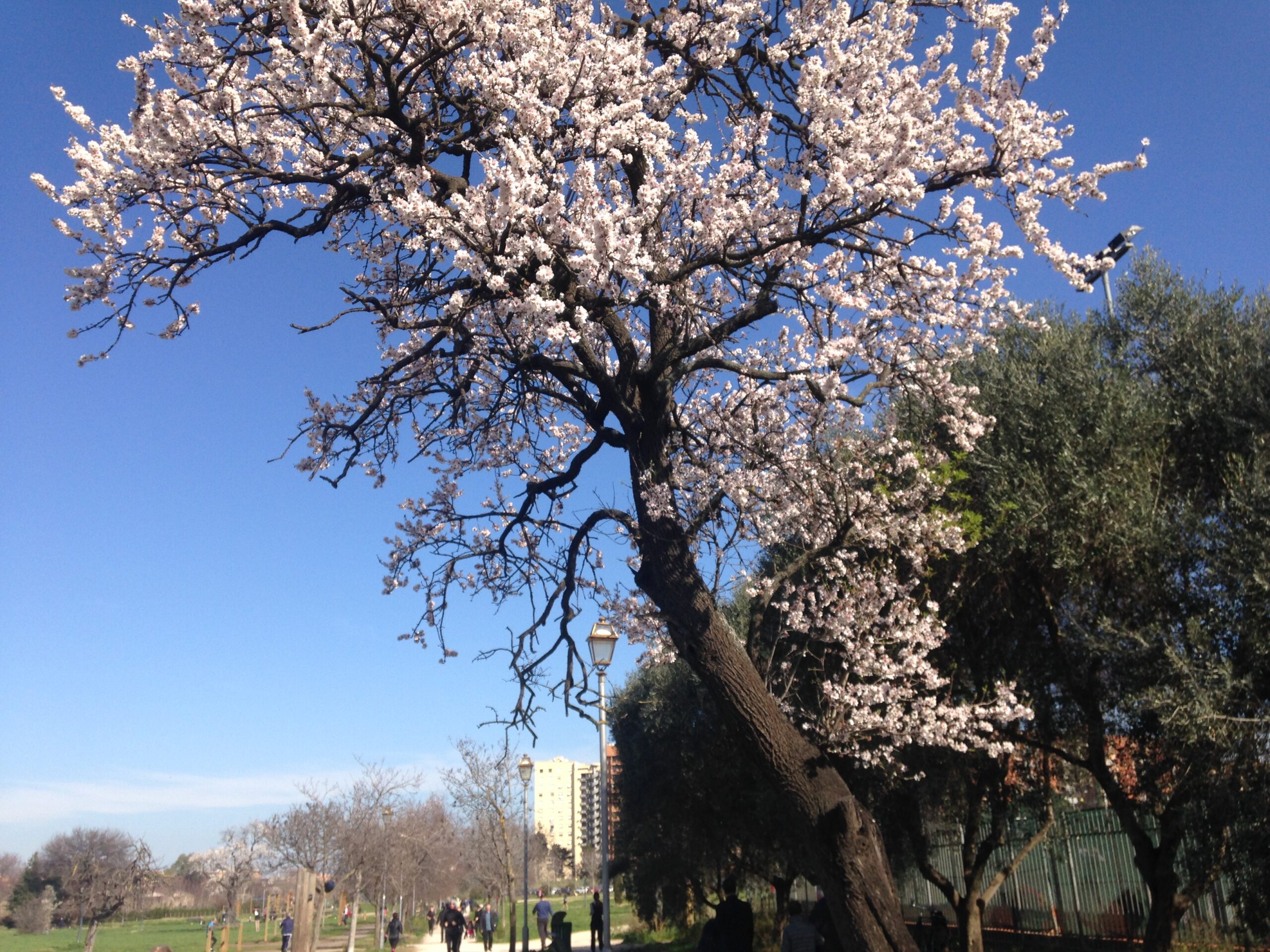 ambiente-incentivi-anche-dalla-compagnia-di-san-paolo