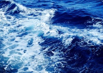 mediterraneo-piu-a-rischio-per-via-del-surriscaldamento