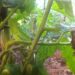 agriumbria-primo-incontro-sullinnovazione-in-agricoltura