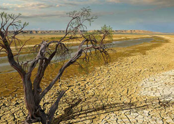 maggiori-interessi-sul-debito-il-destino-dei-paesi-in-via-di-sviluppo-a-causa-del-climate-change