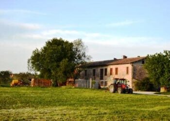 agricoltura-irpef-piu-leggera
