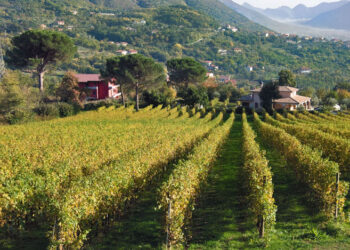 irpinia-da-ottobre-madre-contemporanea