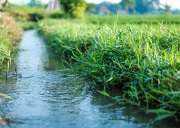 mipaaf--finanziamento-per-infrastrutture-irrigue-finanziate-dal-pnrr