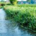 mipaaf--finanziamento-per-infrastrutture-irrigue-finanziate-dal-pnrr