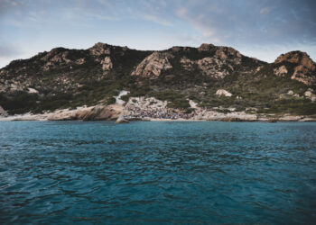 dal-3-all11-settembre-a-palau-torna-il-festival-internazionale-isole-che-parlano