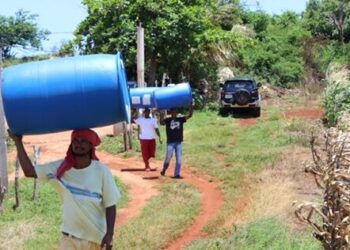 al-via-bcfn-yes-concorso-che-premia-i-migliori-progetti-che-aiutano-a-salvare-il-pianeta