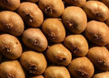 kiwi-la-varieta-gialla-salva-litalia