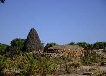 expo-va-di-scena-la-sardegna