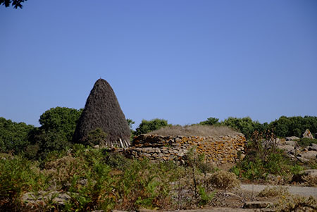 expo-va-di-scena-la-sardegna