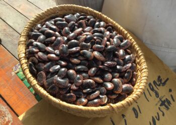 i-parchi-nazionali-hanno-dato-sapore-alla-solidarieta