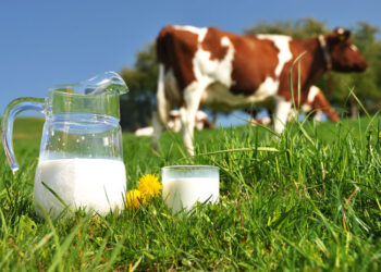 latte-segnali-positivi-dallandamento-europeo