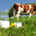 latte-segnali-positivi-dallandamento-europeo