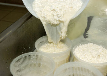 latte-e-boom-dei-“delattosati”