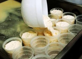 latte-e-formaggi-leggera-ripresa-dei-prezzi