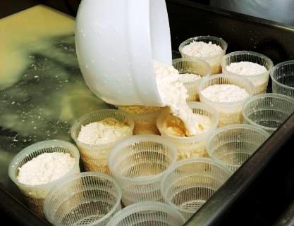 latte-e-formaggi-leggera-ripresa-dei-prezzi
