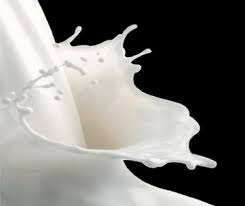 Animali transgenici: vacche OGM e clonate produrranno latte umano?