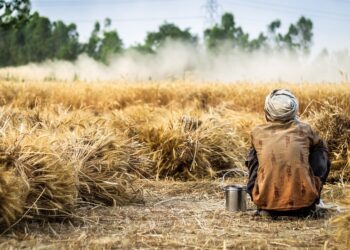 decreto-flussi-2022-al-via-il-click-day-per-i-lavoratori-stranieri