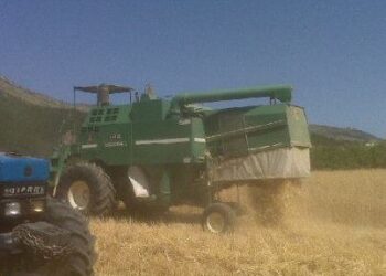 “rete-del-lavoro-agricolo-di-qualita”-soltanto-300-domande