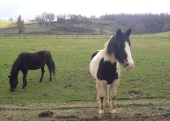 lavoro-i-giovani-italiani-scelgono-sempre-piu-lagricoltura