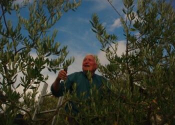 agricoltura-sociale-arriva-la-legge