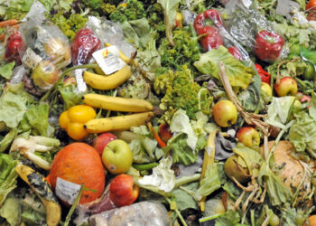 quasi-pronta-la-legge-anti-spreco-di-cibo