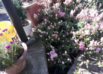 gli-aspetti-ambientali-della-legge-di-bilancio-per-il-2018