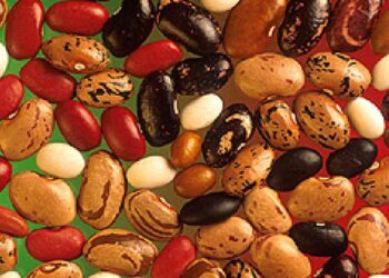 2016-anno-internazionale-dei-legumi-per-la-fao