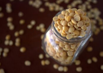 lenticchia-di-castelluccio-tutto-pronto-per-la-semina