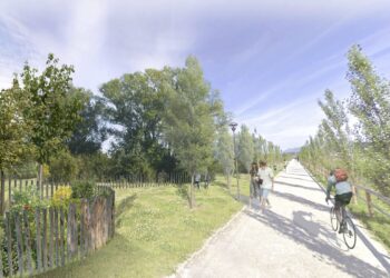 la-linfa-bergamasca-del-bosco-della-memoria