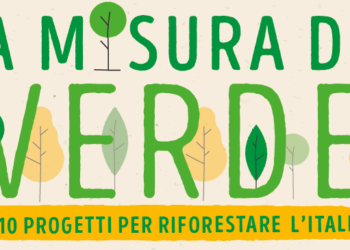 sabato-21-novembre-festa-dellalbero