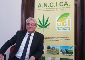 canapa-industriale-e-filiere-territoriali-incontro-programmatico-presso-la-sede-uci-di-enna