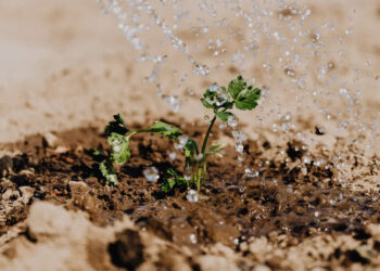 agroalimentare-bando-del-mise-per-macchinari-innovativi