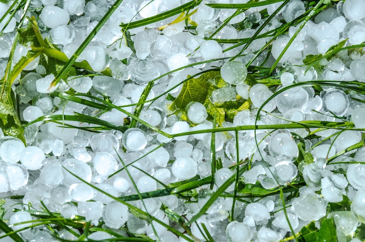 maltempo-agricoltura-in-ginocchio