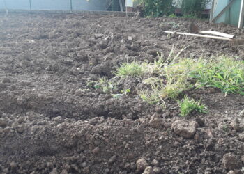 maggio-il-maltempo-flagella-i-campi